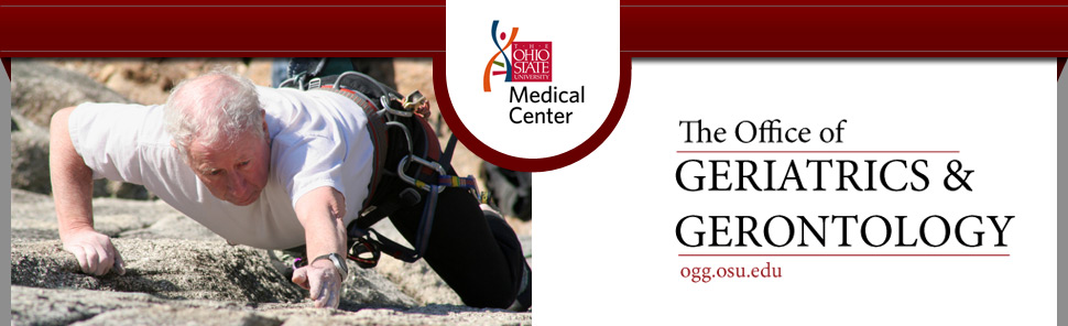 OGG Header image