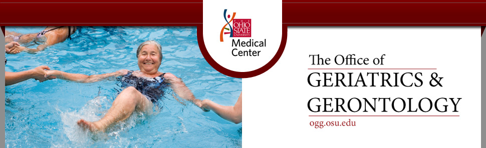 OGG Header image