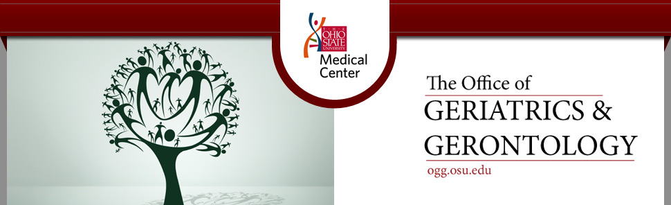 OGG Header image