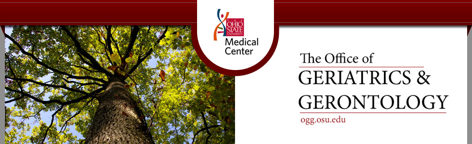 OGG Header image